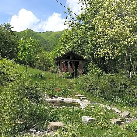 Fattoria La Guedrara 住宿加早餐酒店 塞斯托拉